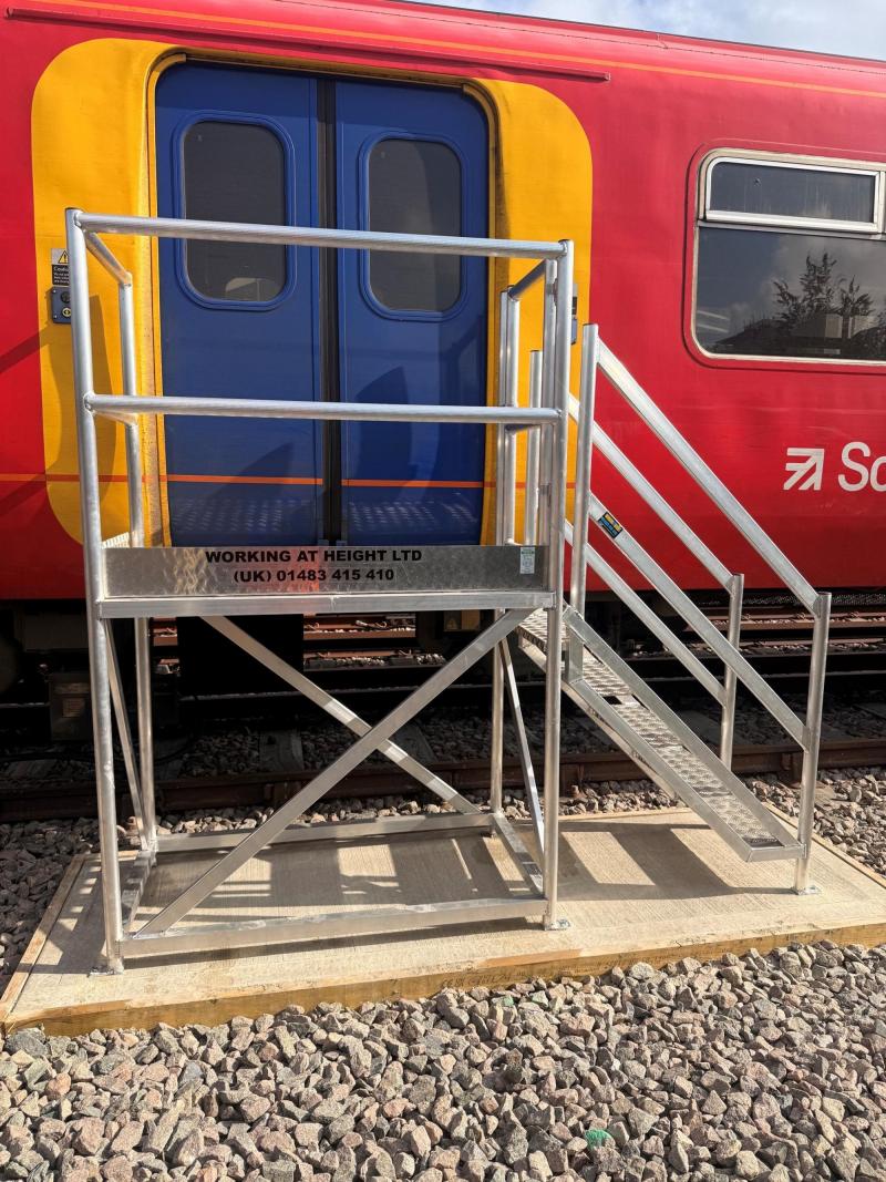 Train Door Access Platforms