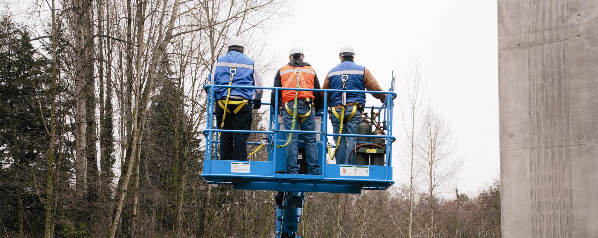 HARNESS TRAINING 